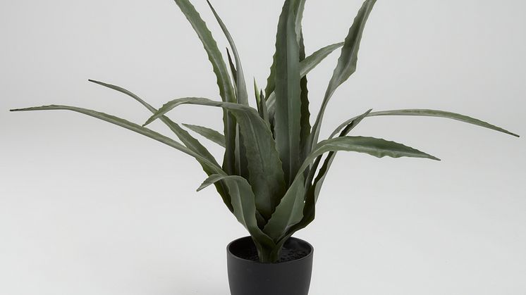 Kunstpflanze CELIUS, 65 cm