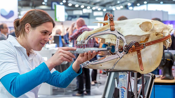 11. Leipziger Tierärztekongress 2022 