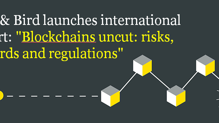 Blockchains report