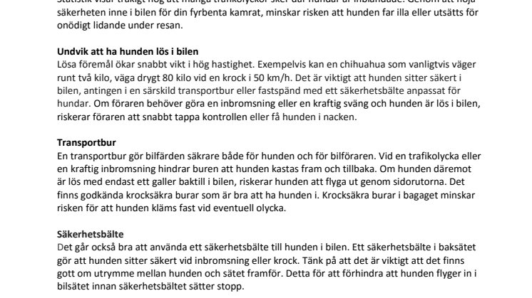 Så gör du bilfärden tryggare för hunden