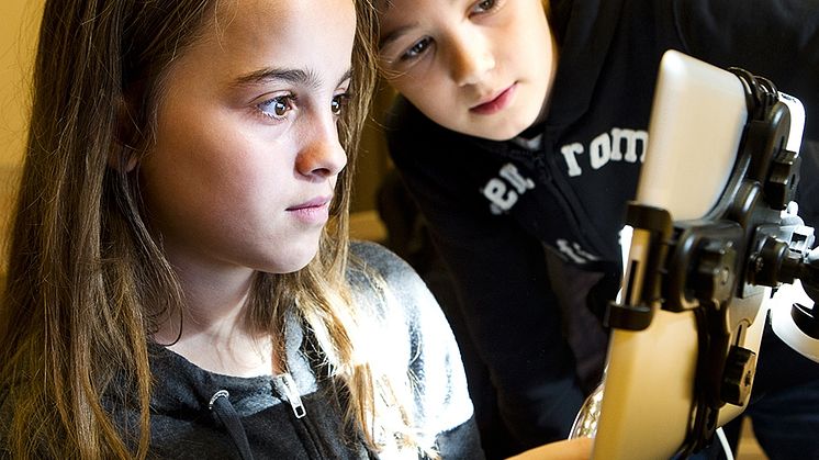Ungas kulturvanor i Stockholms län ska undersökas