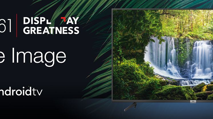 TCL P61