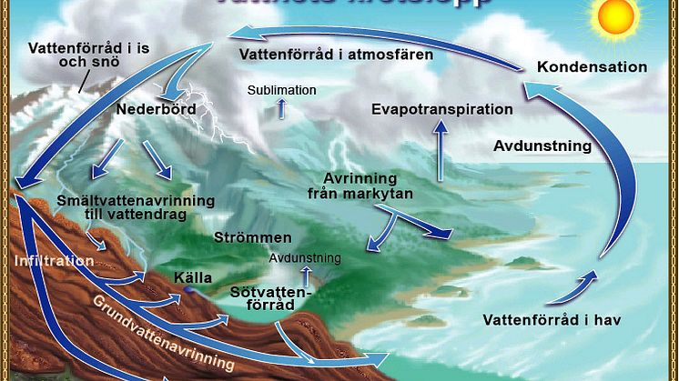 Vattnets kretslopp såsom det illustreras i Wikipedia (2019-06-10) (USGS/Wikimedia Commons). https://sv.wikipedia.org/wiki/Vattnets_kretslopp#/media/File:Watercycleswedishhigh.jpg