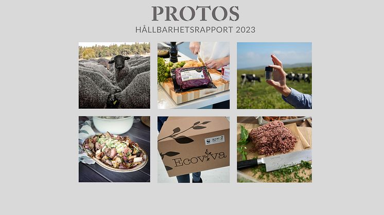 Livsmedelsföretaget Protos Hållbarhetsrapport 2023. Foto: Protos