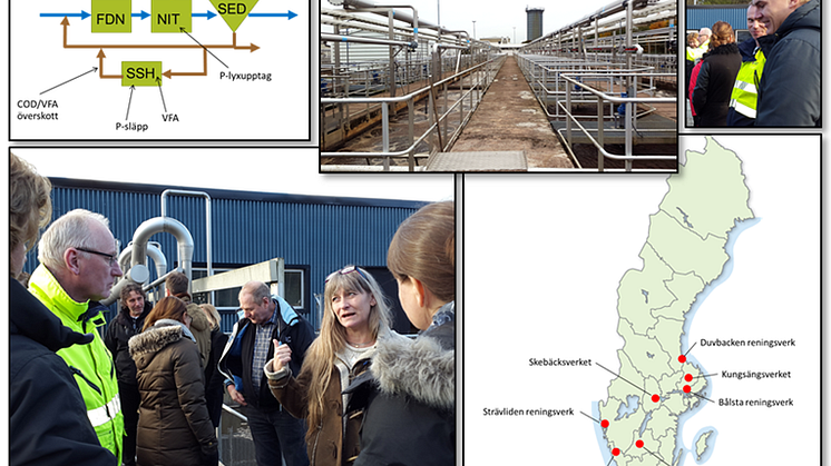 Framsidesbild: Bildkollage med bilder tagna/framställda av projektgruppen.