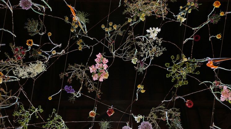 4_Rebecca_Louise_Law_THE_GARDEN,_2014