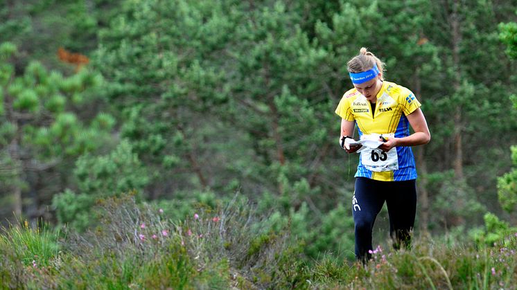 Foto: Malin Björkqvist