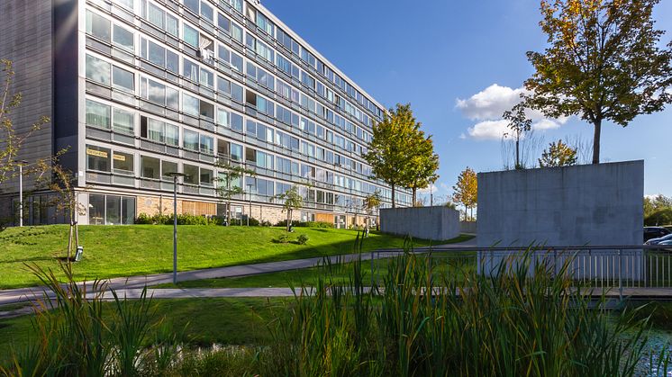 Bispehaverne: transformasjon av «utsatt bydel» til bærekraftig, grønn bydel. Foto: Thomas Illemann
