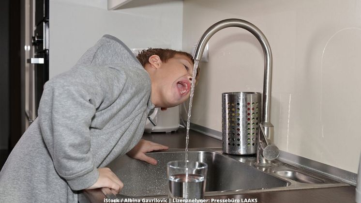 Legionellen-Befall vorbeugen: Mobile Trinkwasser-App liefert die wichtigsten Informationen. Foto; iStock / Albina Gavrilovic