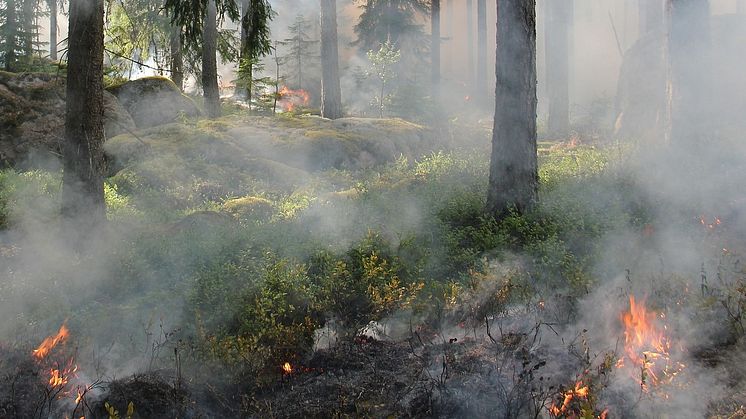 Det är din kommun som beslutar om eventuellt eldningsförbud.