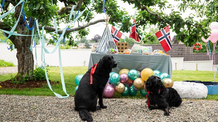 011_VN_7635_JohnnyVaetNordskog_hi-res.jpg