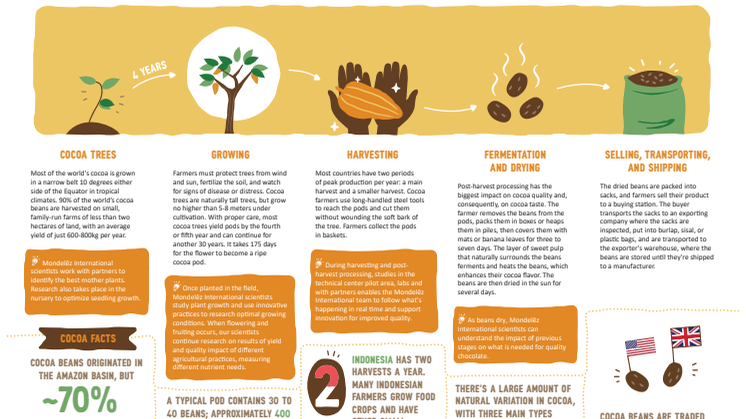Mondelez Bean To Bar infographic October 2020