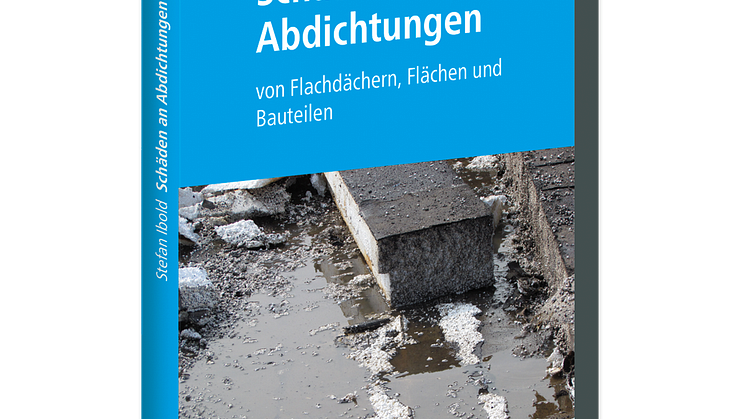 Schäden an Abdichtungen