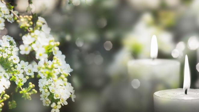 shutterstock_2131686763