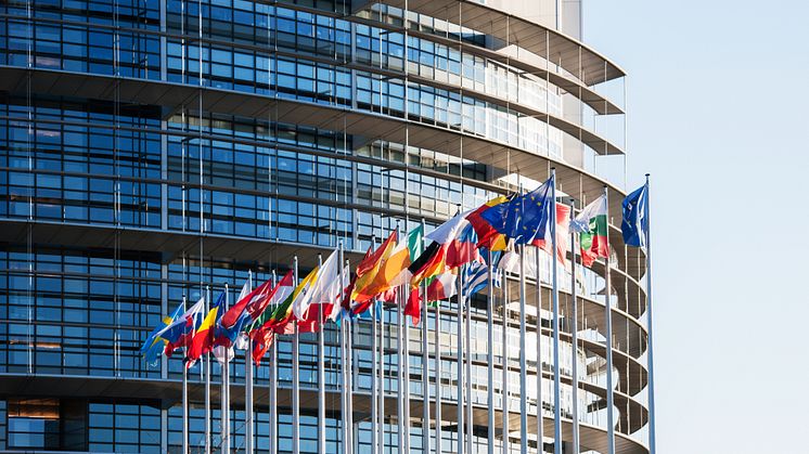 11831022-all-european-union-flags-in-front-of-parliament-eu.jpg