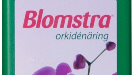 61020_Blomstra Orkidenäring 300.jpg