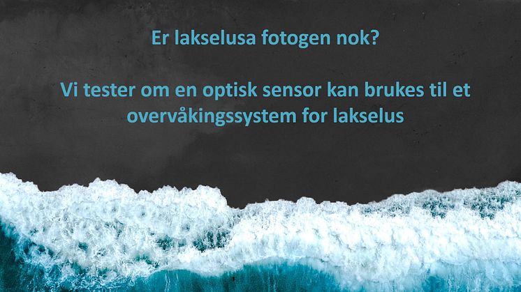 FHF prosjektet e-Lice: Gjennomgang av lab forsøk