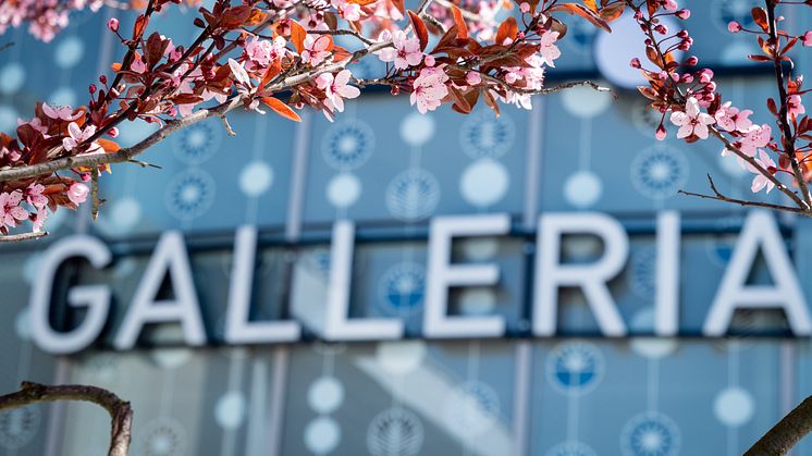 Alla hjärtans dag-vecka på Bromma Blocks