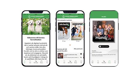 SKKs app Hundsport.jpg