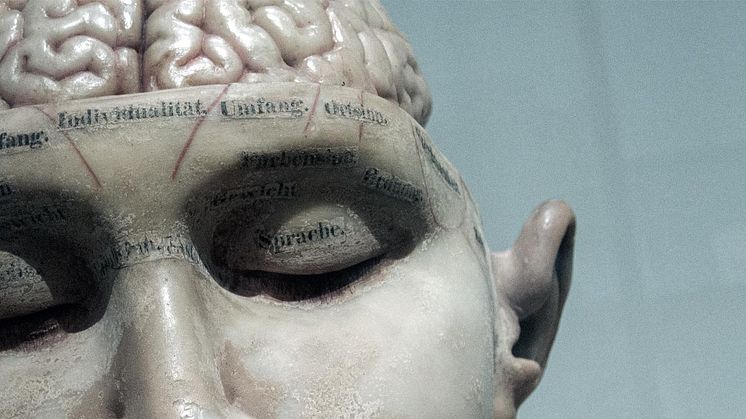 Is your brain making you fat?