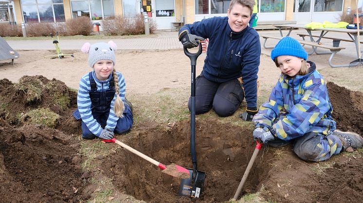 Ängelholmshem 1000 träd på 10 år