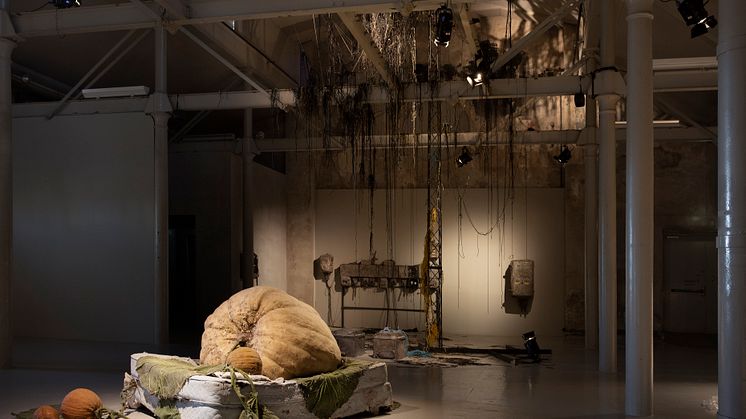 Roland Persson - Being Mortal Hurts, Färgfabriken 2025