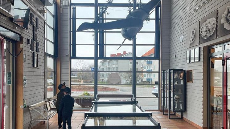 Havsdrakarnas hus i tågstationens vänthall i Bromölla