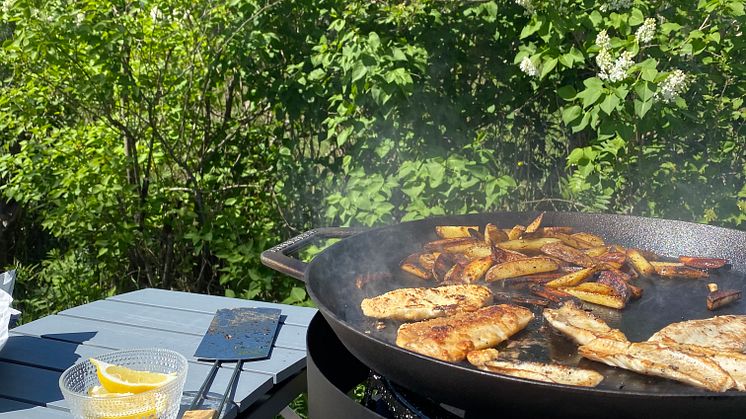 Gas PRO Grå från Muurikka är ett användbart sommarkök