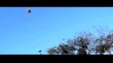 Jason Mraz - I'm yours video