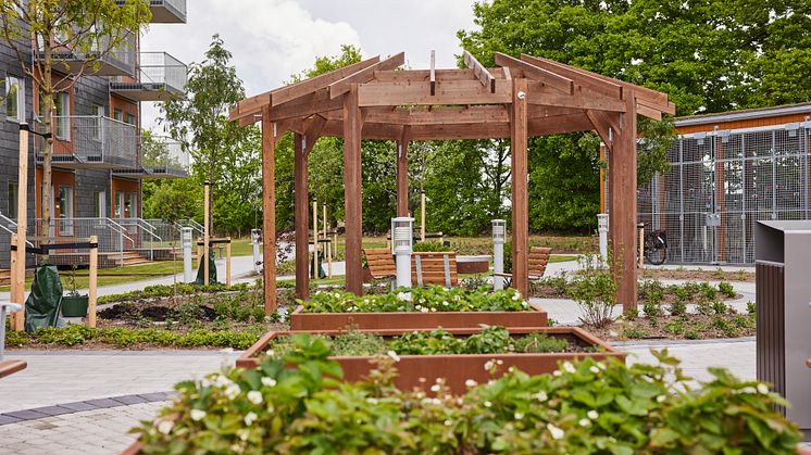 BoKlok Silviabo Skrabelycke plantering på gården