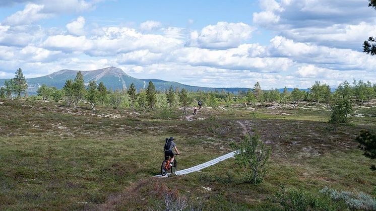 Stenrutsleden MTB - en av Lofsdalens senaste stigcyklingsleder