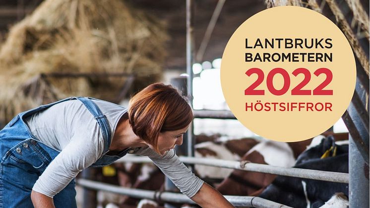 LB höst 2022