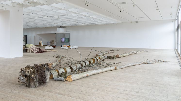 Ingela Ihrman, "Landskapet kom först" (2023). Installationsvy Malmö Konsthall. Foto: Helene Toresdotter