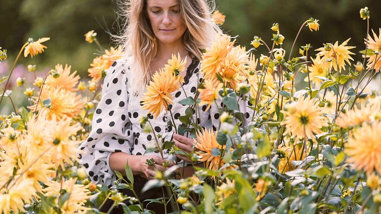 Foto: Sophie Håkansson 