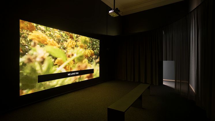 Laure Prouvost, Into All There Is Here, 2015