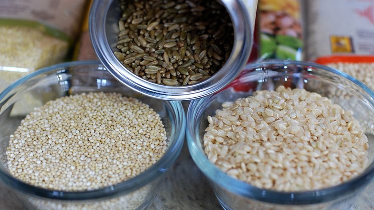 Den Ultimata Guiden till Veganskt Proteinpulver