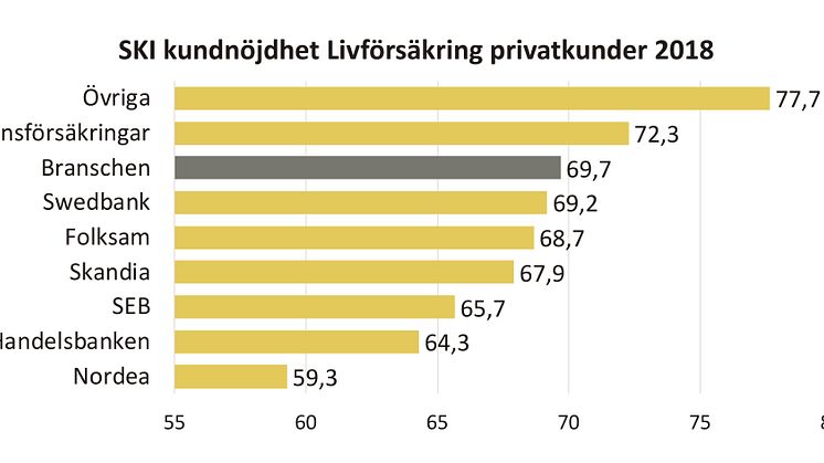 SKI kundnöjdhet Livförsäkring B2C 2018