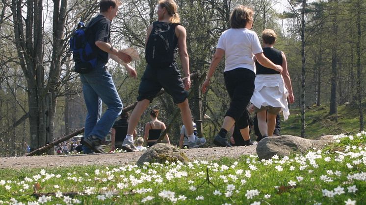​Idag öppnar anmälan till årets Linnémarschen