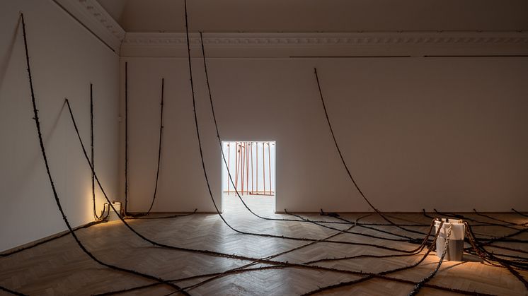 Jeannette Ehlers, We’re Magic. We’re Real #3 (Channeling Re-existence into Hollowed Grounds of Healing), 2022