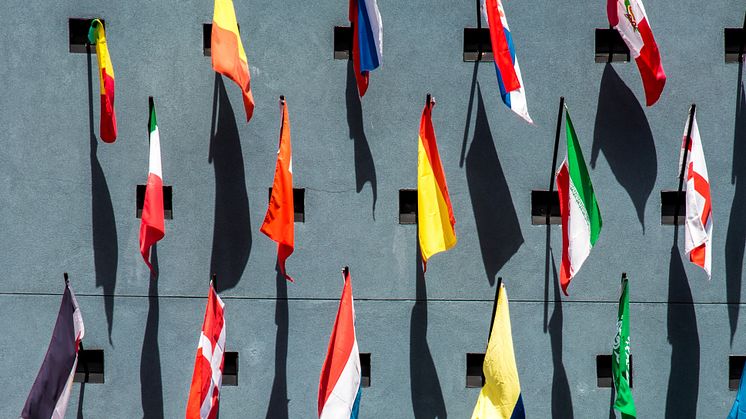 Foto: Jason Leung för Unsplash 