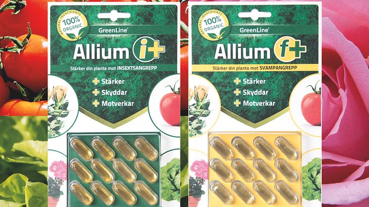 Stärk dina växter med Allium I-Plus och Allium F-Plus