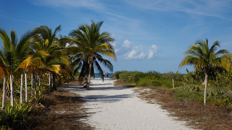 path-to-beach-el-cuyo-mexico-tui-large