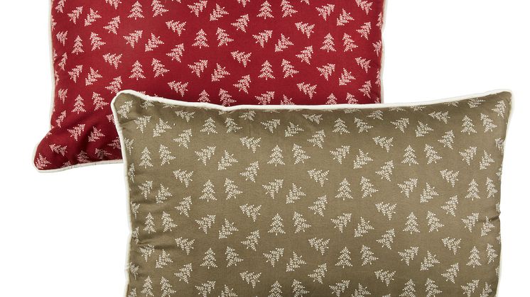 Coussin PETALIT 35x50 ass.