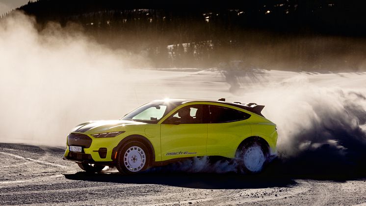 2024 Mustang Mach-E Rally Gol (13).jpg