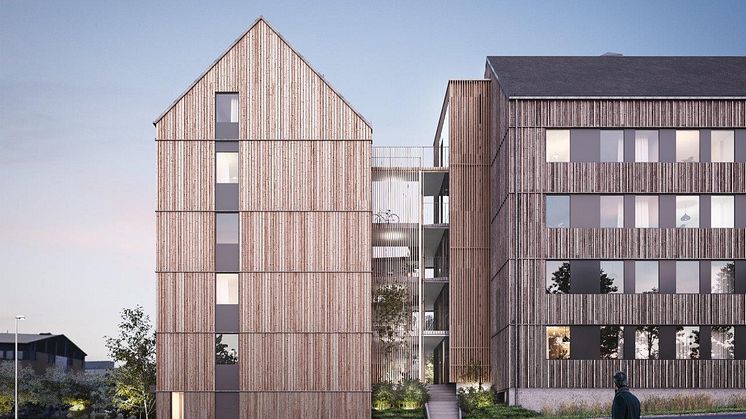 Titteridamm lamellhus i trä