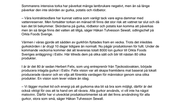Torkan stoppar inte åttionde gurksäsongen i Eslöv 