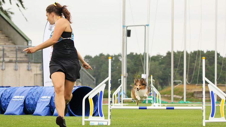 Agility