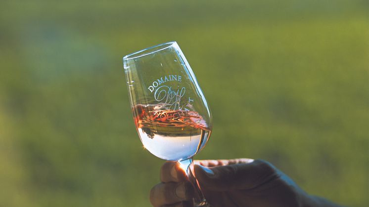 Rosévin fortsatt i vinden