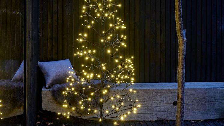 Christmas 2020 (4)