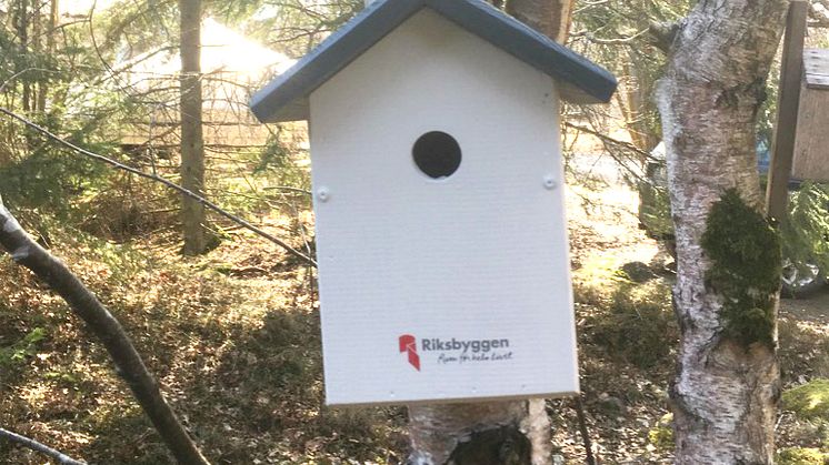 Fågelholkar flyger in på topplistan över bostadsrättsföreningarnas hållbarhetsåtgärder